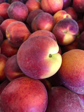 Fresh and Juicy Peaches Fresh and Juicy Peaches
