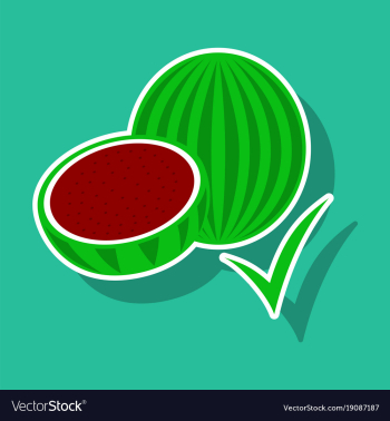 Fresh and juicy whole watermelons and slices vector image