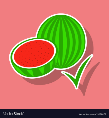 Fresh and juicy whole watermelons and slices vector image