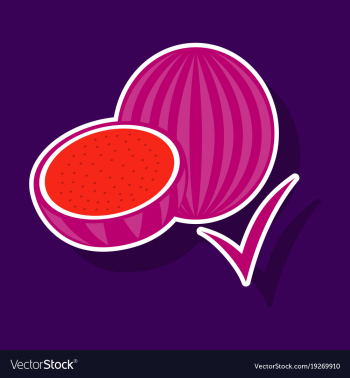 Fresh and juicy whole watermelons and slices vector image