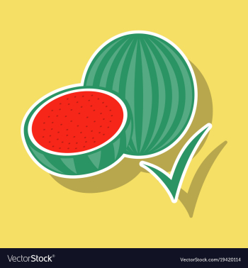 Fresh and juicy whole watermelons and slices vector image
