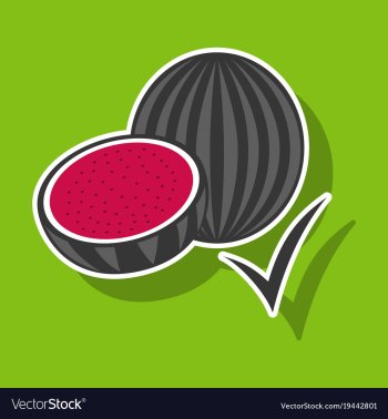 Fresh and juicy whole watermelons and slices vector image