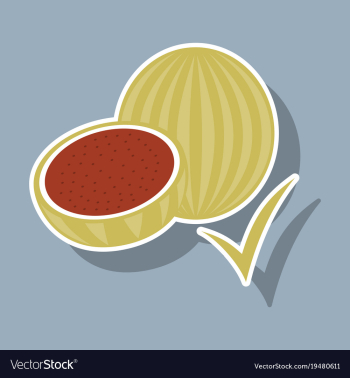 Fresh and juicy whole watermelons and slices vector image
