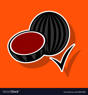 Fresh and juicy whole watermelons and slices vector image