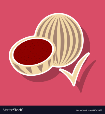 Fresh and juicy whole watermelons and slices vector image