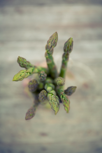 Fresh asparagus close up Fresh asparagus close up