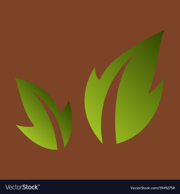 Fresh basil leaves icon flat of basil leaves icon vector image Fresh basil leaves icon flat of basil leaves icon vector image