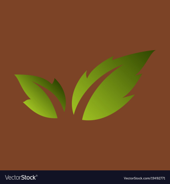 Fresh basil leaves icon flat of basil leaves icon vector image Fresh basil leaves icon flat of basil leaves icon vector image