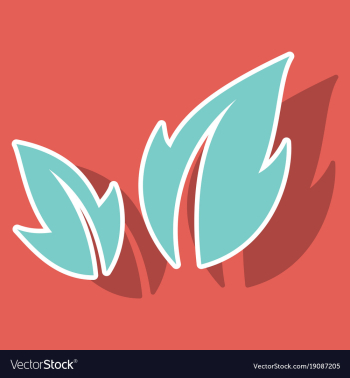 Fresh basil leaves icon sticker of basil leaves vector image Fresh basil leaves icon sticker of basil leaves vector image