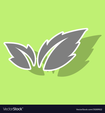 Fresh basil leaves icon sticker of basil leaves vector image Fresh basil leaves icon sticker of basil leaves vector image