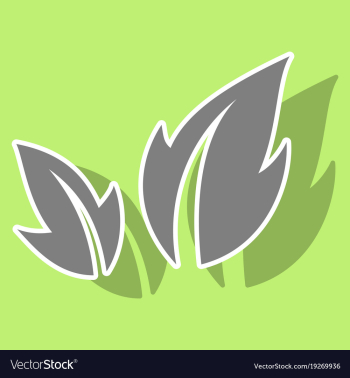 Fresh basil leaves icon sticker of basil leaves vector image Fresh basil leaves icon sticker of basil leaves vector image