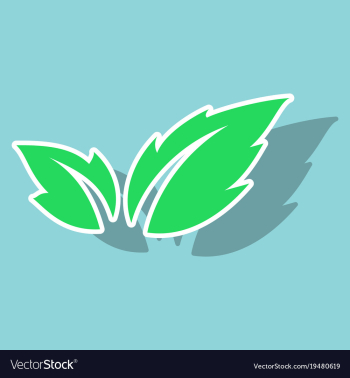 Fresh basil leaves icon sticker of basil leaves vector image Fresh basil leaves icon sticker of basil leaves vector image