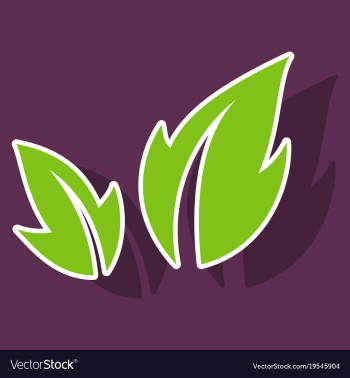 Fresh basil leaves icon sticker of basil leaves vector image Fresh basil leaves icon sticker of basil leaves vector image