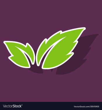 Fresh basil leaves icon sticker of basil leaves vector image Fresh basil leaves icon sticker of basil leaves vector image