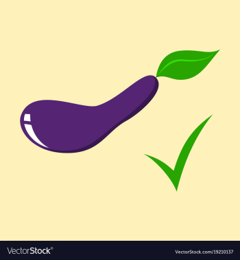 Fresh eggplant vegetable isolated icon eggplant vector image Fresh eggplant vegetable isolated icon eggplant vector image