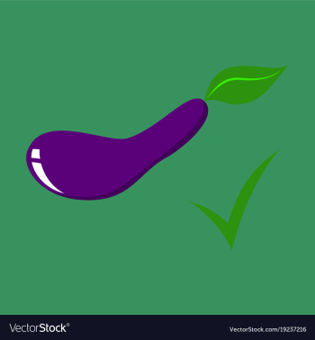 Fresh eggplant vegetable isolated icon eggplant vector image Fresh eggplant vegetable isolated icon eggplant vector image