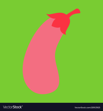 Fresh eggplant vegetable isolated icon eggplant vector image Fresh eggplant vegetable isolated icon eggplant vector image