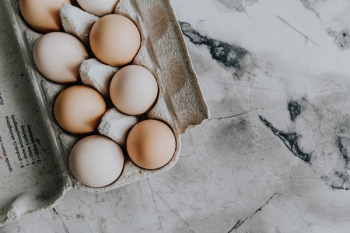 Fresh Eggs Fresh Eggs