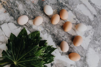 Fresh Eggs Fresh Eggs