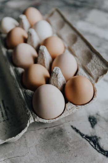 Fresh Eggs Fresh Eggs