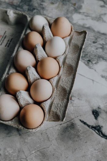 Fresh Eggs Fresh Eggs
