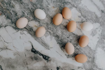 Fresh Eggs Fresh Eggs