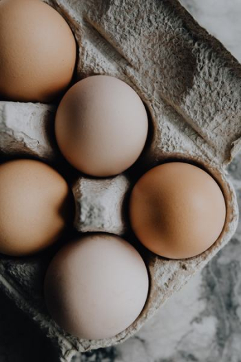Fresh Eggs Fresh Eggs