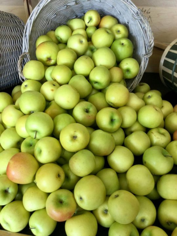 Fresh Green Apples in a Market Basket Fresh Green Apples in a Market Basket