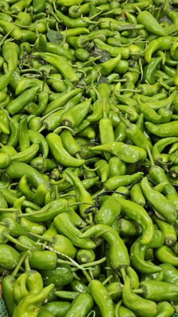 Fresh Green Chilies in Abundance Fresh Green Chilies in Abundance