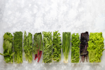 Fresh greens basil, coriander,lettuce,purple basil,mountain coriander,dill,green onion in plastic boxes on grey concrete Free Photo