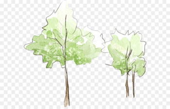 Fresh hand-painted watercolor tree Fresh hand-painted watercolor tree