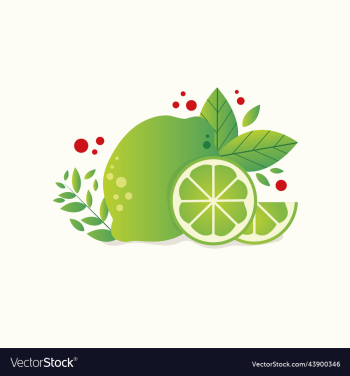 fresh limes with leaves and mint realistic citrus fresh limes with leaves and mint realistic citrus