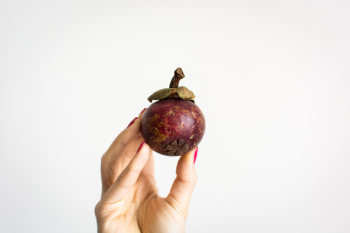 Fresh mangostan Fresh mangostan