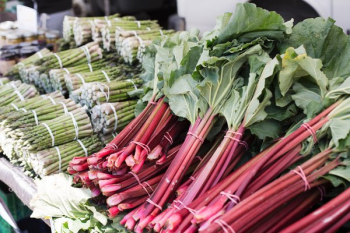 Fresh Market Vegetables Fresh Market Vegetables