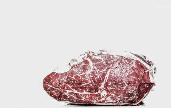Fresh Meat Fresh Meat