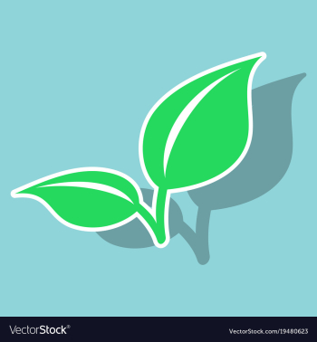 Fresh mint leaf sticker menthol healthy aroma vector image