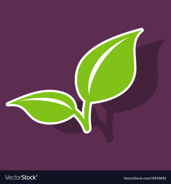 Fresh mint leaf sticker menthol healthy aroma vector image