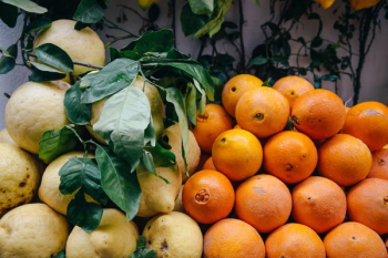 Fresh Oranges And Lemons Fresh Oranges And Lemons