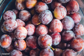 Fresh plums | Free public domain photo - 432691 Fresh plums | Free public domain photo - 432691
