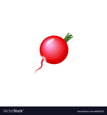 fresh radish vegetable icon fresh radish vegetable icon