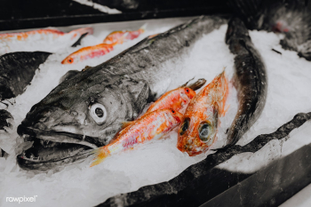 Fresh seafood store | Free stock photo - 937639 Fresh seafood store | Free stock photo - 937639