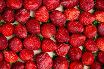 Fresh Strawberries Fresh Strawberries