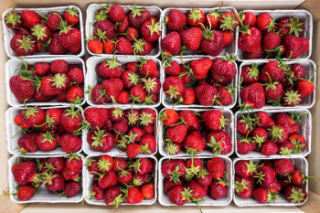 Fresh strawberries at a farmers market 