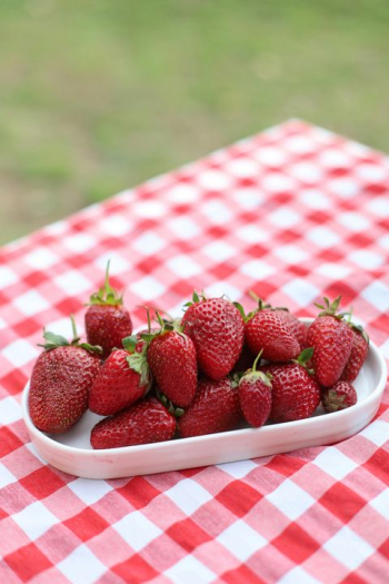 Fresh Strawberries on a Red and White Checkered Tablecloth Fresh Strawberries on a Red and White Checkered Tablecloth