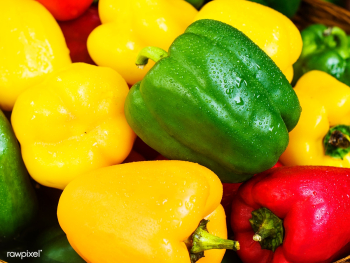 Fresh sweet bell peppers | Free stock photo - 105086 Fresh sweet bell peppers | Free stock photo - 105086
