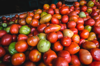 Fresh tomatoes at a farmers market 