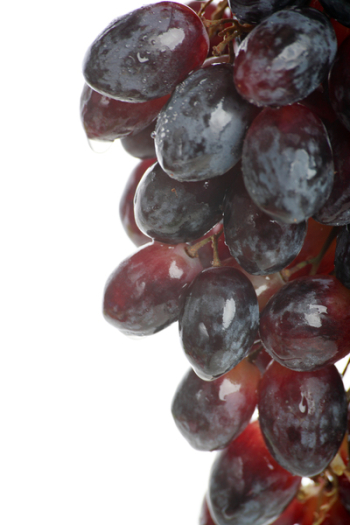Fresh Vegetables, Fruits and other foodstuffs. Shot in a studio.