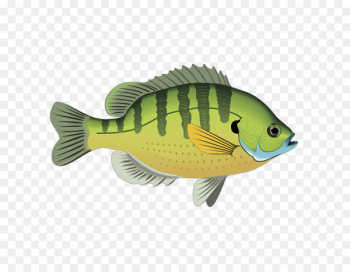 Fresh water Fishing Clip art - Cartoon ornamental fish Fresh water Fishing Clip art - Cartoon ornamental fish
