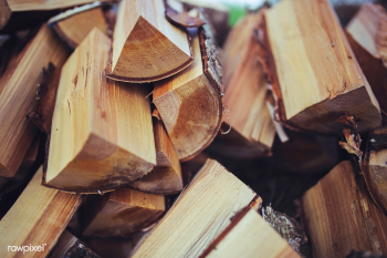 Freshly cut firewood. Visit Kaboompics for mo.. | Free stock photo - 436144 Freshly cut firewood. Visit Kaboompics for mo.. | Free stock photo - 436144