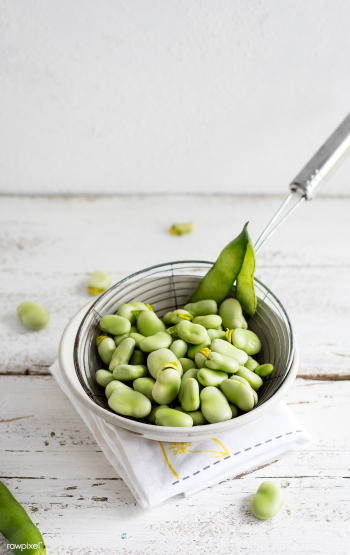 Freshly peeled green lima beans | Free stock photo - 462923 Freshly peeled green lima beans | Free stock photo - 462923